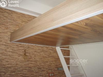 Pronájem bytu 1+KK Praha, Jeseniova č. 1