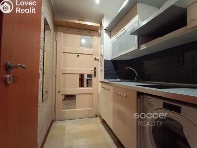 Pronájem bytu 1+KK Praha, Jeseniova č. 4