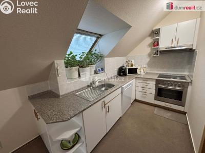 Pronájem bytu 2+KK Pozlovice, Leoše Janáčka č. 1