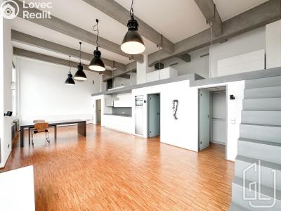 Pronájem bytu 1+KK Praha, Křížová č. 1