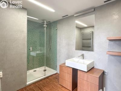 Pronájem bytu 1+KK Praha, Křížová č. 6