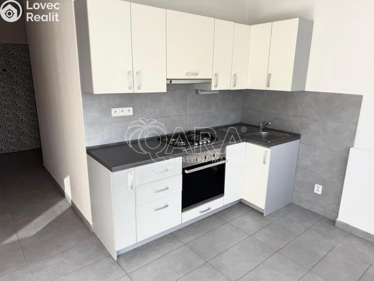 Pronájem bytu 2+1 Kralupy nad Vltavou, sídl. Hůrka 1044 č. 2