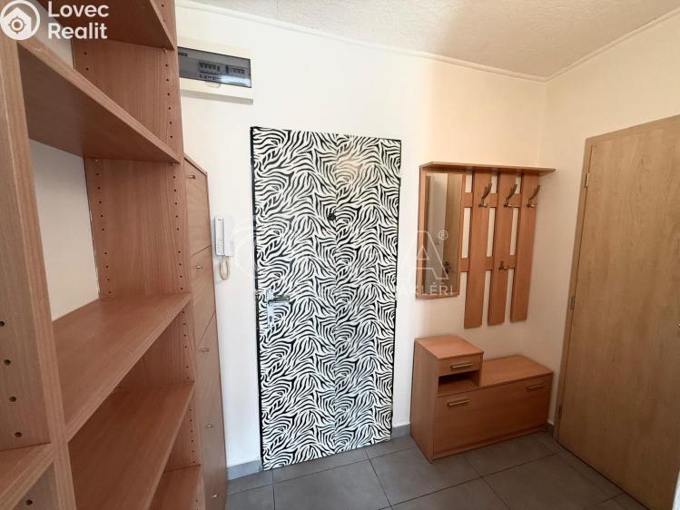 Pronájem bytu 2+1 Kralupy nad Vltavou, sídl. Hůrka 1044 č. 9