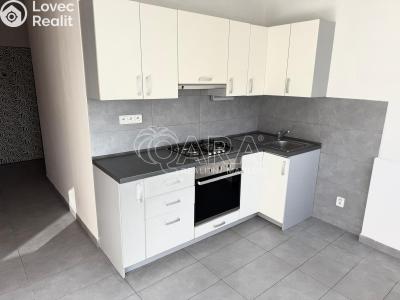 Pronájem bytu 2+1 Kralupy nad Vltavou, sídl. Hůrka 1044 č. 2