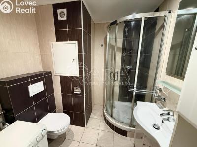 Pronájem bytu 2+1 Kralupy nad Vltavou, sídl. Hůrka 1044 č. 3