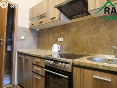 Prodej bytu 2+1 Karlovy Vary, Moravská č. 4