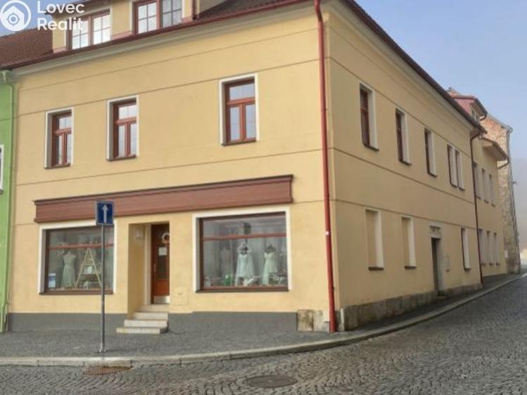 Pronájem bytu 3+KK Planá, náměstí Svobody č. 1