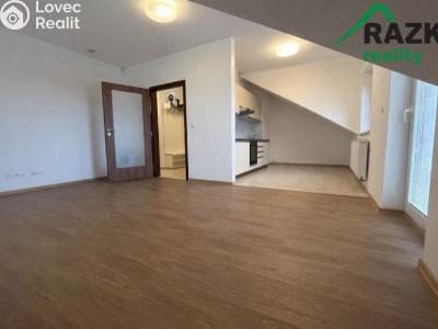 Pronájem bytu 3+KK Planá, náměstí Svobody č. 6