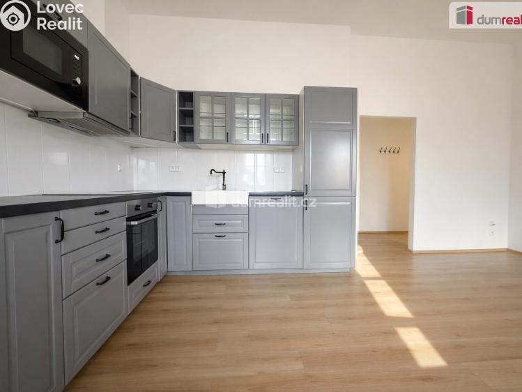 Pronájem bytu 3+KK Modlany č. 1