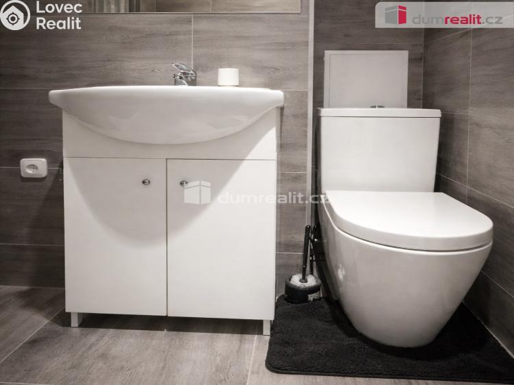 Pronájem bytu 3+KK Modlany č. 8