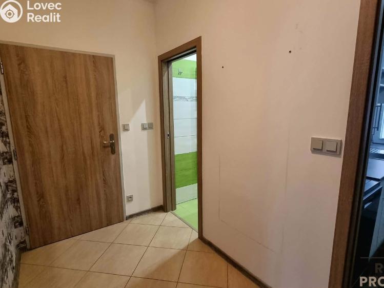 Pronájem bytu 2+1 Znojmo, Vítězslava Nováka č. 4