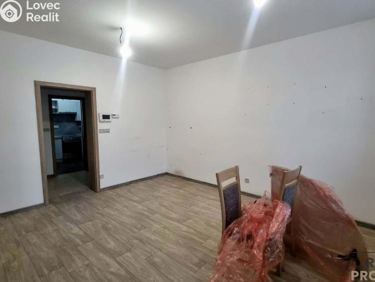 Pronájem bytu 2+1 Znojmo, Vítězslava Nováka č. 6