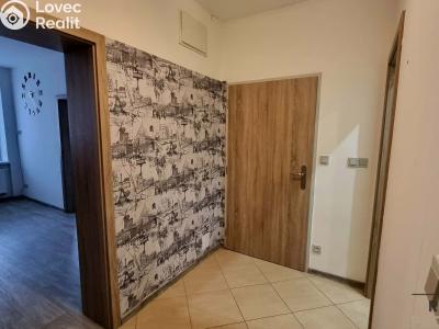 Pronájem bytu 2+1 Znojmo, Vítězslava Nováka č. 2