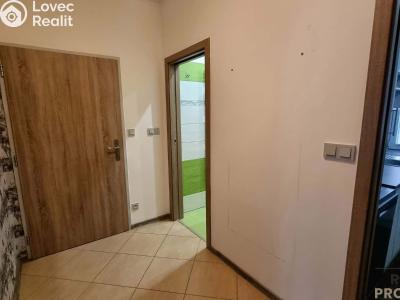 Pronájem bytu 2+1 Znojmo, Vítězslava Nováka č. 4