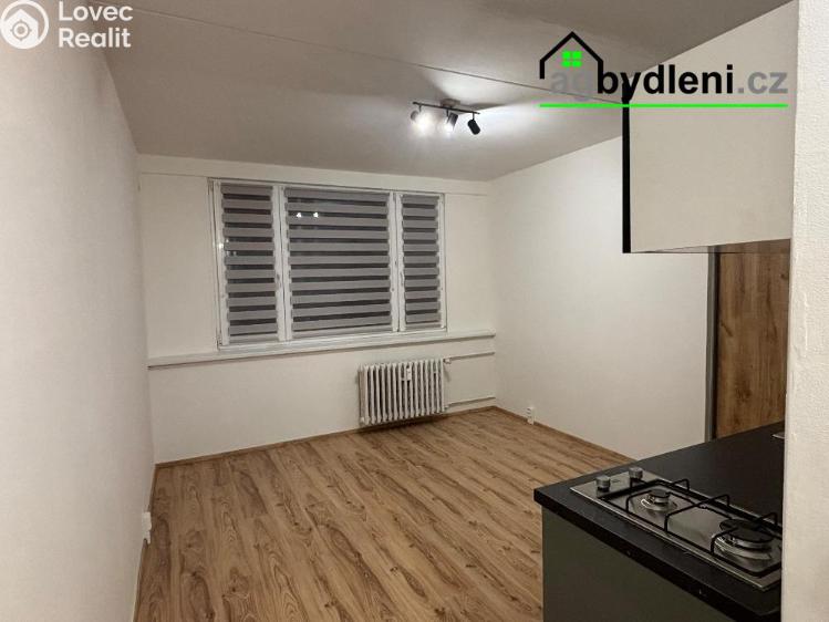 Pronájem bytu 2+KK Plzeň č. 2