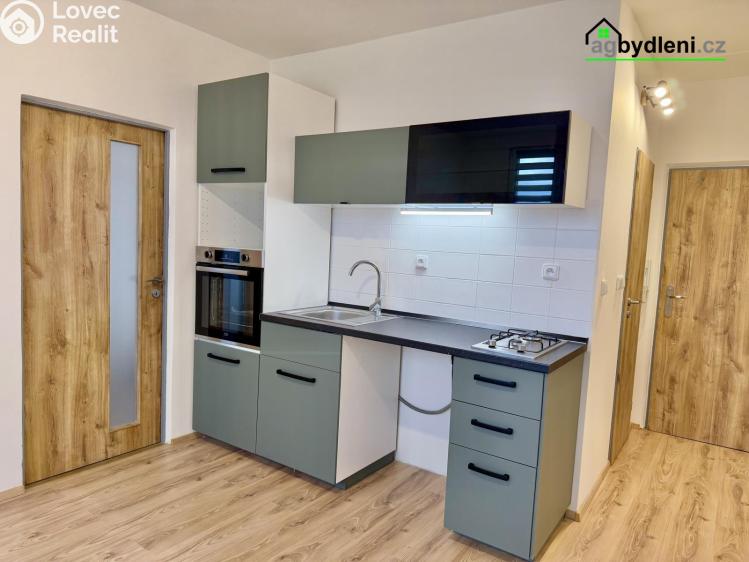 Аренда квартиры 2+KK Plzeň č. 6