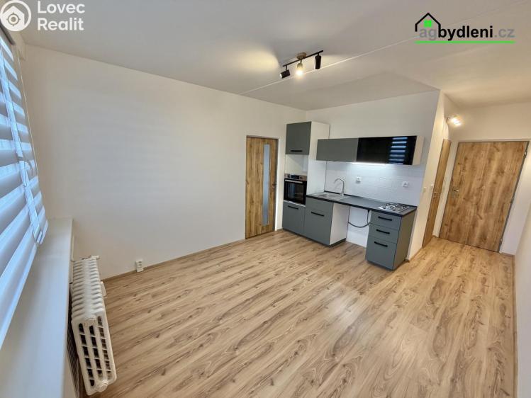 Аренда квартиры 2+KK Plzeň č. 1