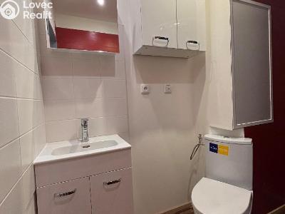 Pronájem bytu 2+KK Plzeň č. 5