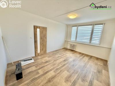 Pronájem bytu 2+KK Plzeň č. 2