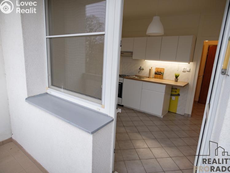 Pronájem bytu 1+1 Olomouc, I. P. Pavlova 1003/42 č. 7