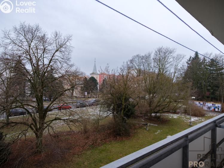 Pronájem bytu 1+1 Olomouc, I. P. Pavlova 1003/42 č. 14