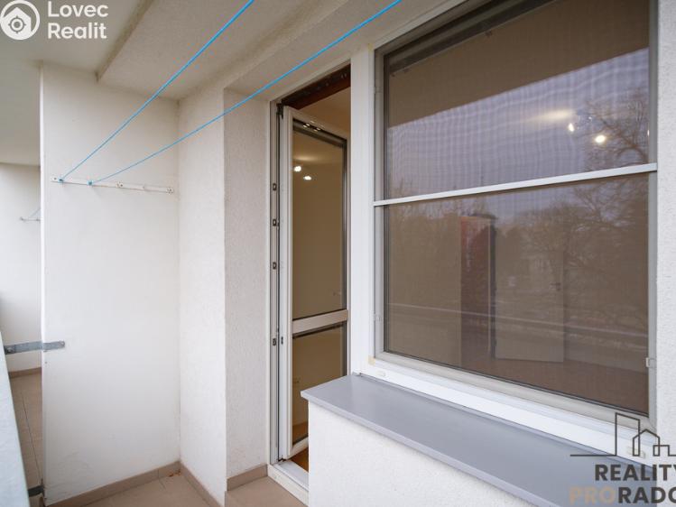 Pronájem bytu 1+1 Olomouc, I. P. Pavlova 1003/42 č. 15