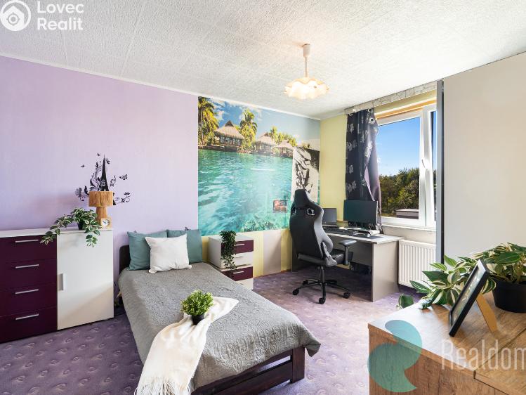 Prodej bytu 1+1 Mladošovice č. 4