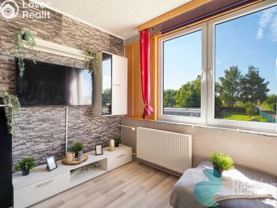 Prodej bytu 1+1 Mladošovice č. 1