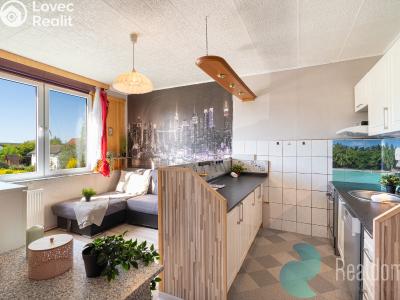 Prodej bytu 1+1 Mladošovice č. 2