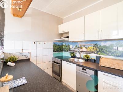 Prodej bytu 1+1 Mladošovice č. 3