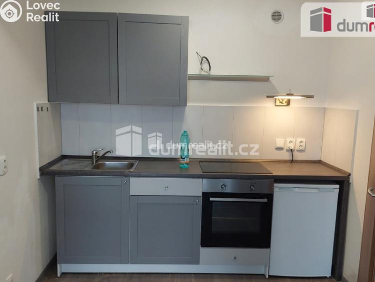 Pronájem bytu 3+KK České Budějovice, Plukovníka Malého č. 1