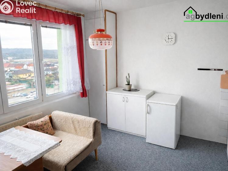 Pronájem bytu 1+1 Dobřany, Sokolovská 954 č. 2