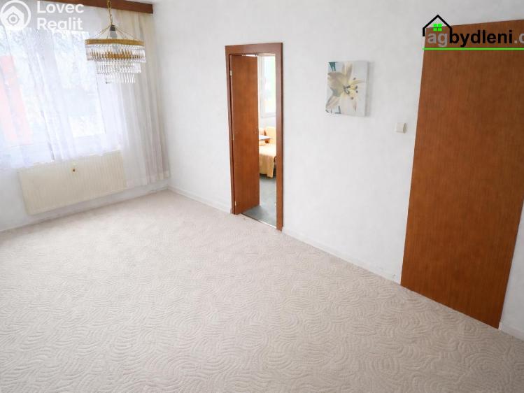 Pronájem bytu 1+1 Dobřany, Sokolovská 954 č. 5