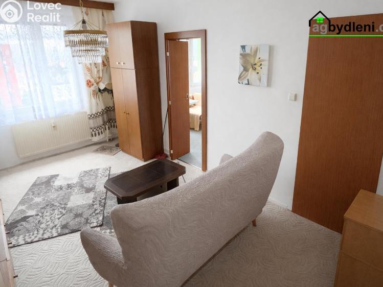 Pronájem bytu 1+1 Dobřany, Sokolovská 954 č. 7