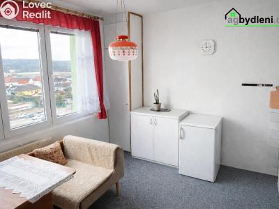 Pronájem bytu 1+1 Dobřany, Sokolovská 954 č. 2