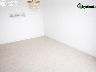 Pronájem bytu 1+1 Dobřany, Sokolovská 954 č. 4