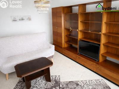 Pronájem bytu 1+1 Dobřany, Sokolovská 954 č. 6