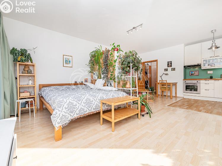 Prodej bytu 1+KK Praha, U Smetanky č. 3