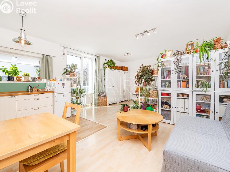 Prodej bytu 1+KK Praha, U Smetanky č. 7