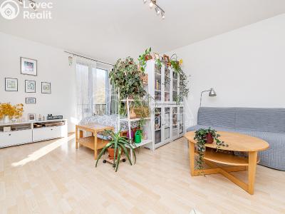 Prodej bytu 1+KK Praha, U Smetanky č. 2