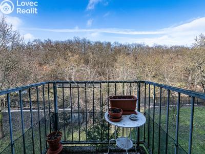 Prodej bytu 1+KK Praha, U Smetanky č. 6