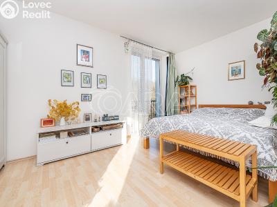 Продаж квартири 1+KK Praha, U Smetanky č. 12