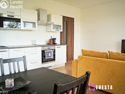 Pronájem bytu 2+KK Praha, Šífařská č. 1