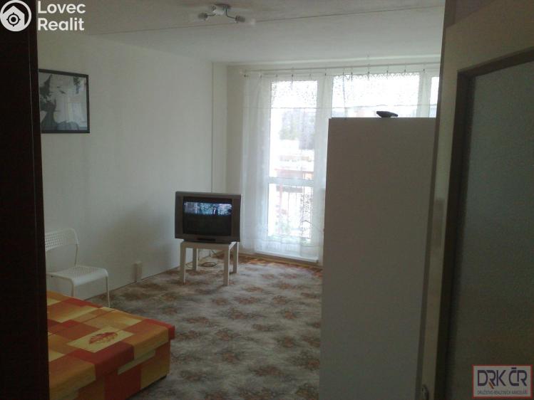 Pronájem pokoje Praha č. 7