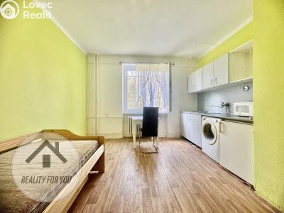 Pronájem bytu 1+KK Teplice, Jaselská č. 1