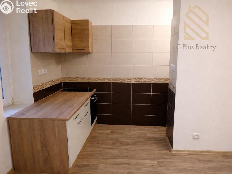 Pronájem bytu 1+KK Louny, Přemyslovců 2009 č. 1