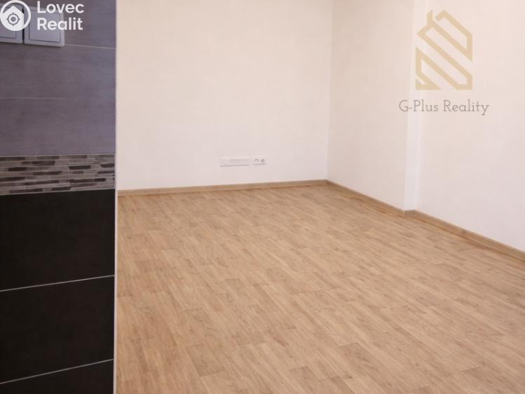 Pronájem bytu 1+KK Louny, Přemyslovců 2009 č. 5