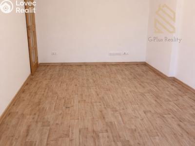 Pronájem bytu 1+KK Louny, Přemyslovců 2009 č. 4