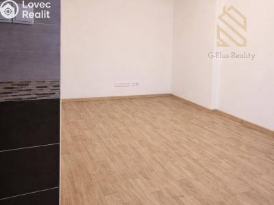 Pronájem bytu 1+KK Louny, Přemyslovců 2009 č. 5