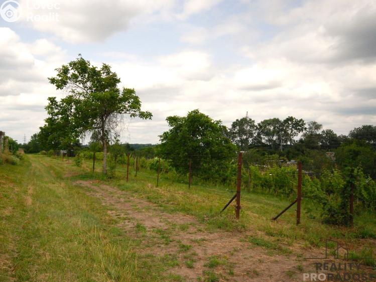 Prodej chaty Břeclav č. 14
